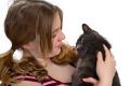 Стерилизация кошки. Как ухаживать за прооперированным животным?