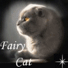Fairy Cat      
