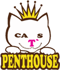 Design Studio CatsPenthouse